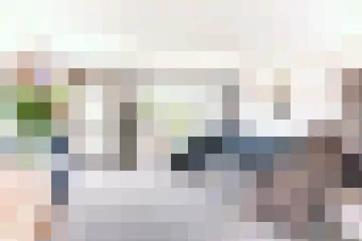 Egelantier 6 Heemskerk thumbnail 9