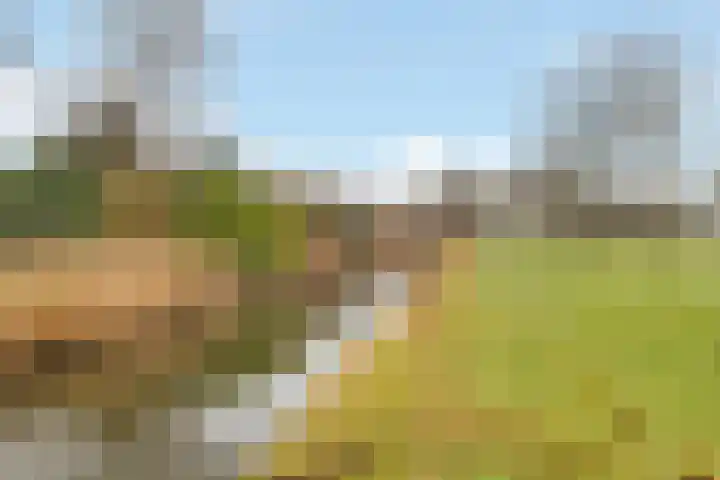 Egelantier 63 Zeewolde thumbnail 33