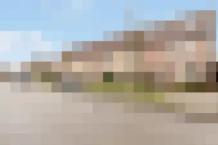 Egelantier 63 Zeewolde thumbnail 35