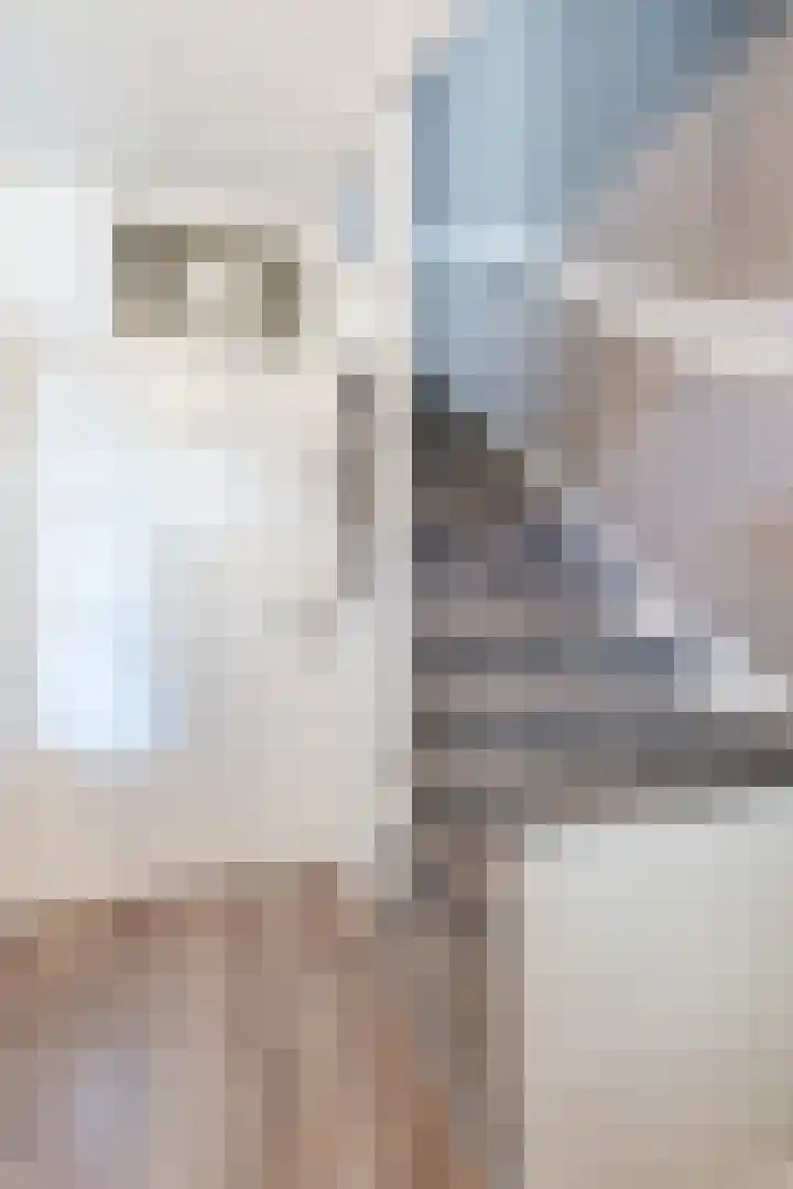 Egelantier 7 Culemborg thumbnail 15