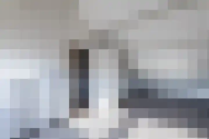 Egelantier 7 Culemborg thumbnail 25