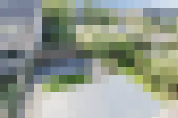 Egelantier 7 Culemborg thumbnail 27