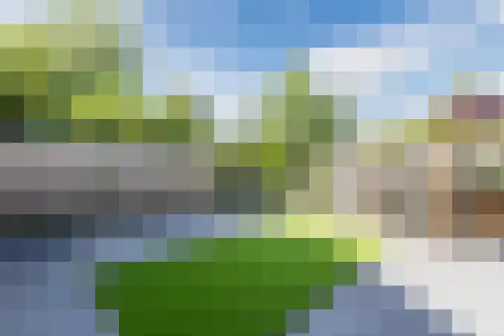 Egelantier 7 Culemborg thumbnail 30