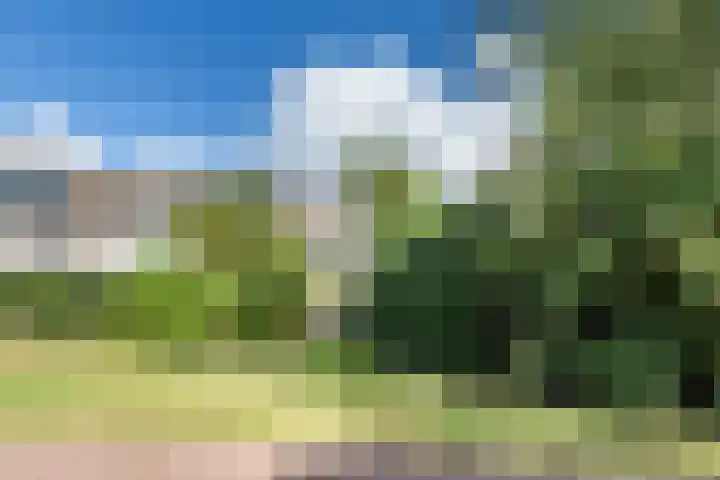 Egelantier 7 Culemborg thumbnail 32