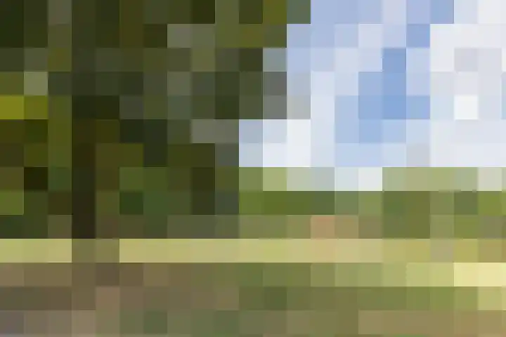Egelantier 7 Culemborg thumbnail 35