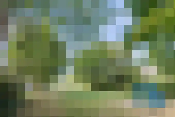 Egelantier 7 Culemborg thumbnail 36