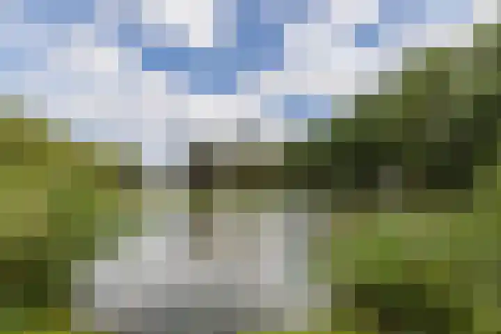 Egelantier 7 Culemborg thumbnail 37