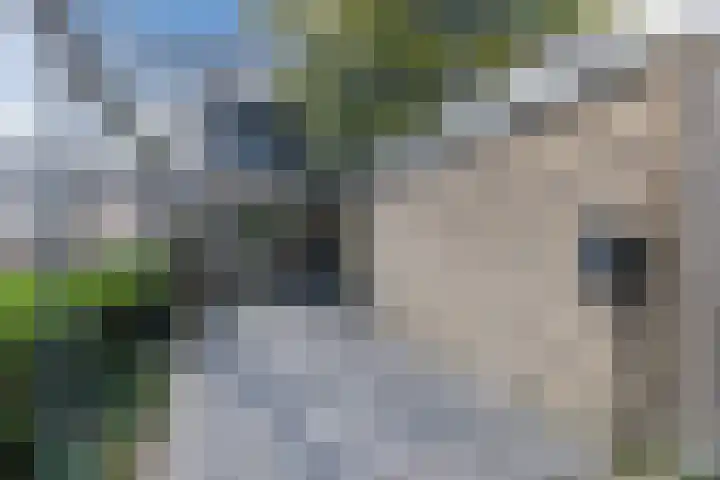 Egelantier 7 Culemborg thumbnail 5