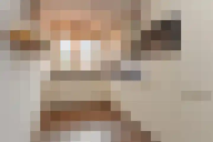 Egelantier 70 Waddinxveen thumbnail 14
