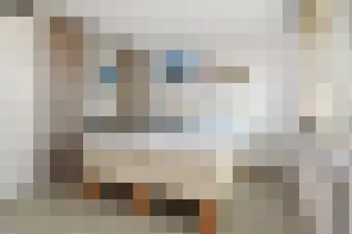 Egelantier 70 Waddinxveen thumbnail 17