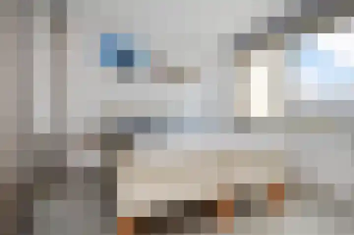 Egelantier 70 Waddinxveen thumbnail 18