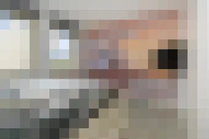 Egelantier 70 Waddinxveen thumbnail 19