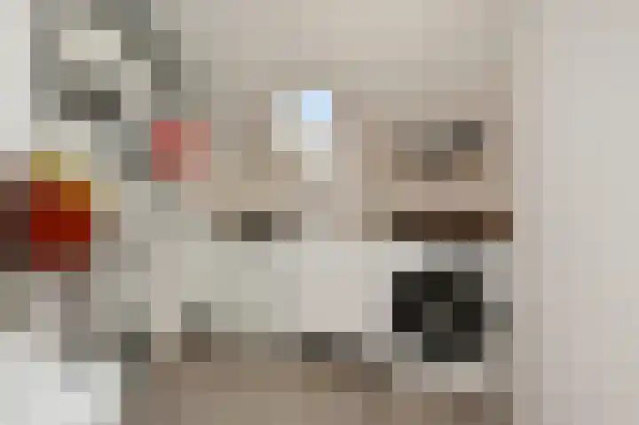 Egelantier 70 Waddinxveen thumbnail 25