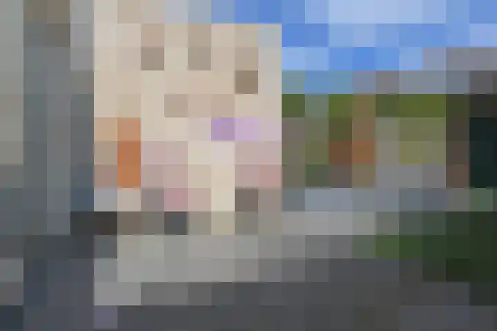 Egelantier 70 Waddinxveen thumbnail 33