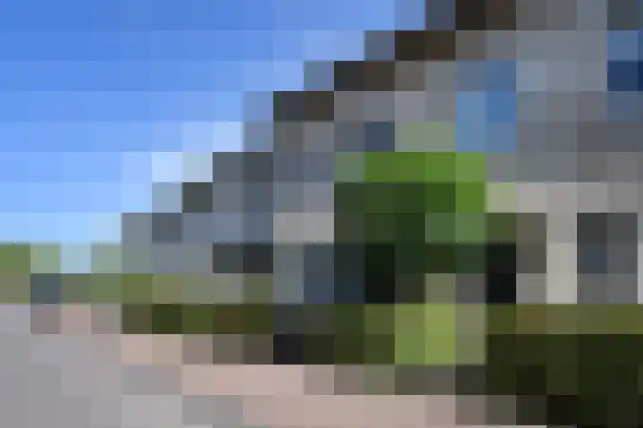 Egelantier 70 Waddinxveen thumbnail 38