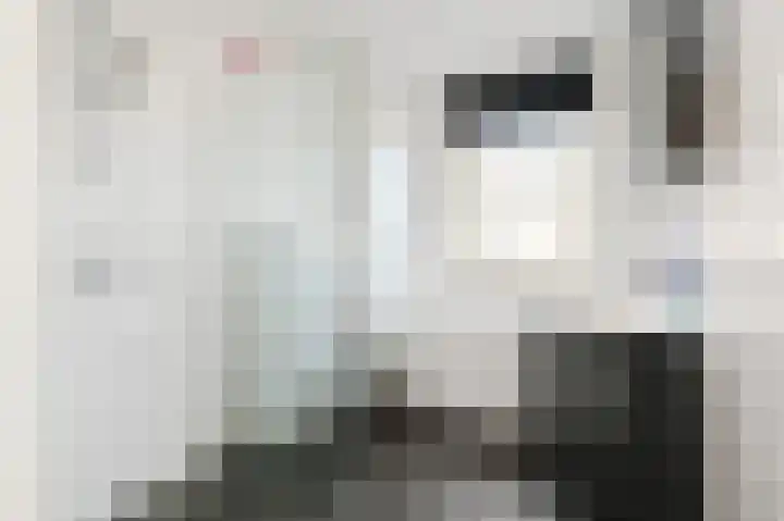 Egelantier 70 Waddinxveen thumbnail 4