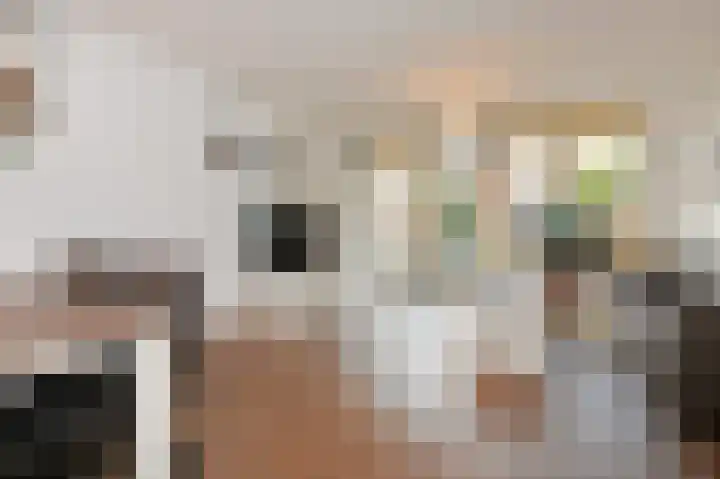 Egelantier 70 Waddinxveen thumbnail 9