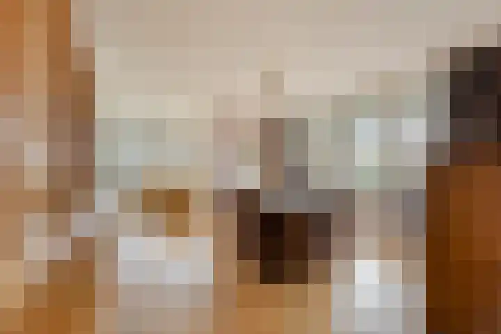 Egelantier 82 Etten-Leur thumbnail 18