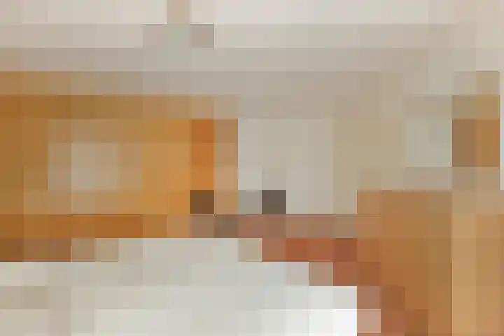 Egelantier 82 Etten-Leur thumbnail 25