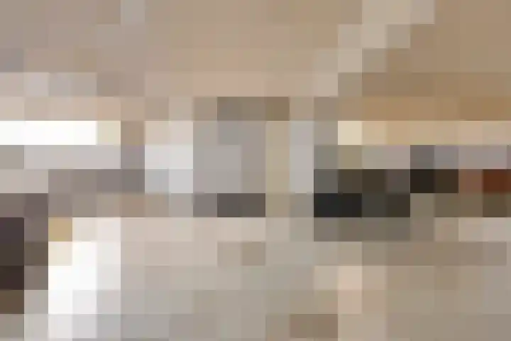 Egelantier 82 Etten-Leur thumbnail 32