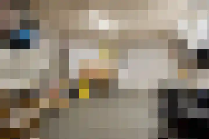 Egelantier 82 Etten-Leur thumbnail 33
