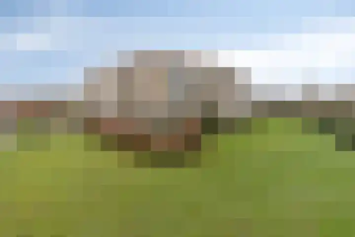 Egelantier 82 Etten-Leur thumbnail 35