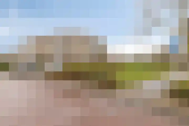 Egelantier 82 Etten-Leur thumbnail 36