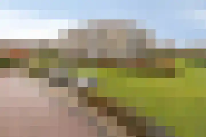 Egelantier 82 Etten-Leur thumbnail 37