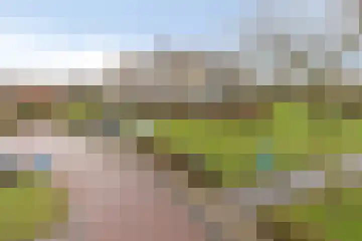 Egelantier 82 Etten-Leur thumbnail 40