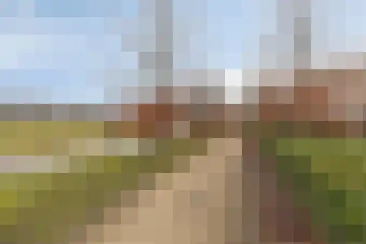 Egelantier 82 Etten-Leur thumbnail 43