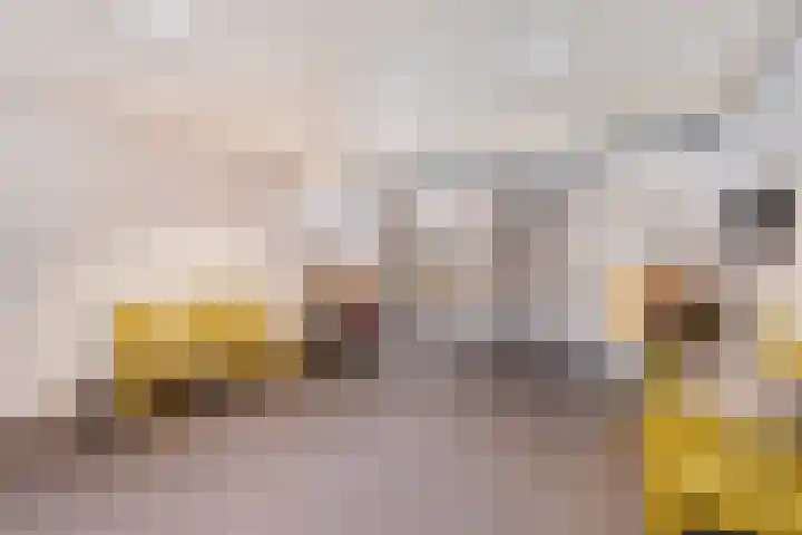 Egelantier 82 Etten-Leur thumbnail 7
