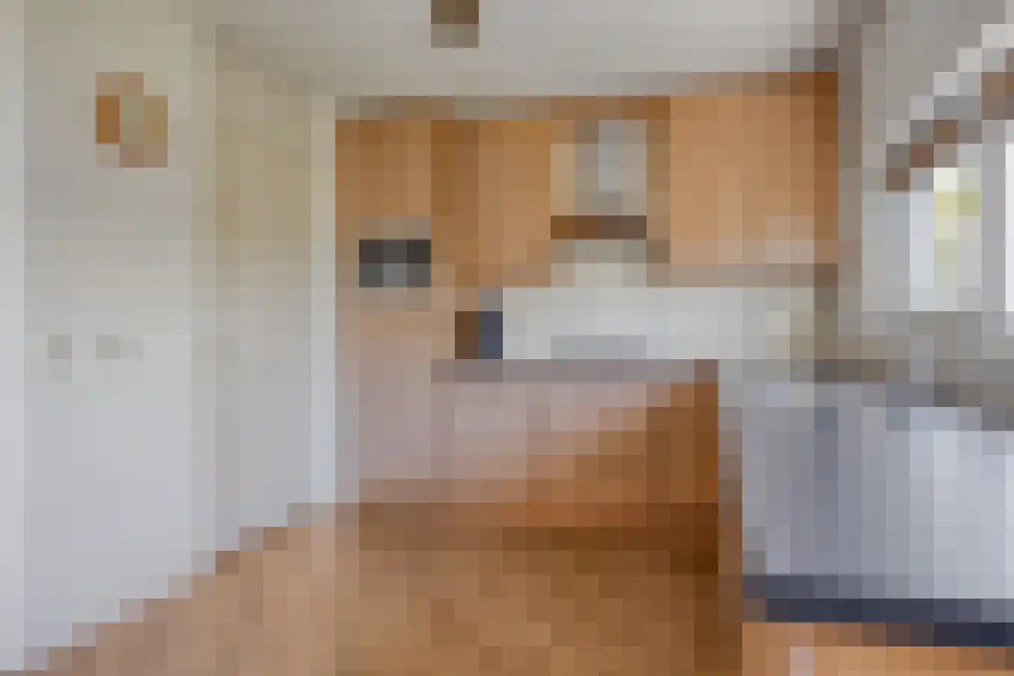 Egelantier 94 Etten-Leur thumbnail 21