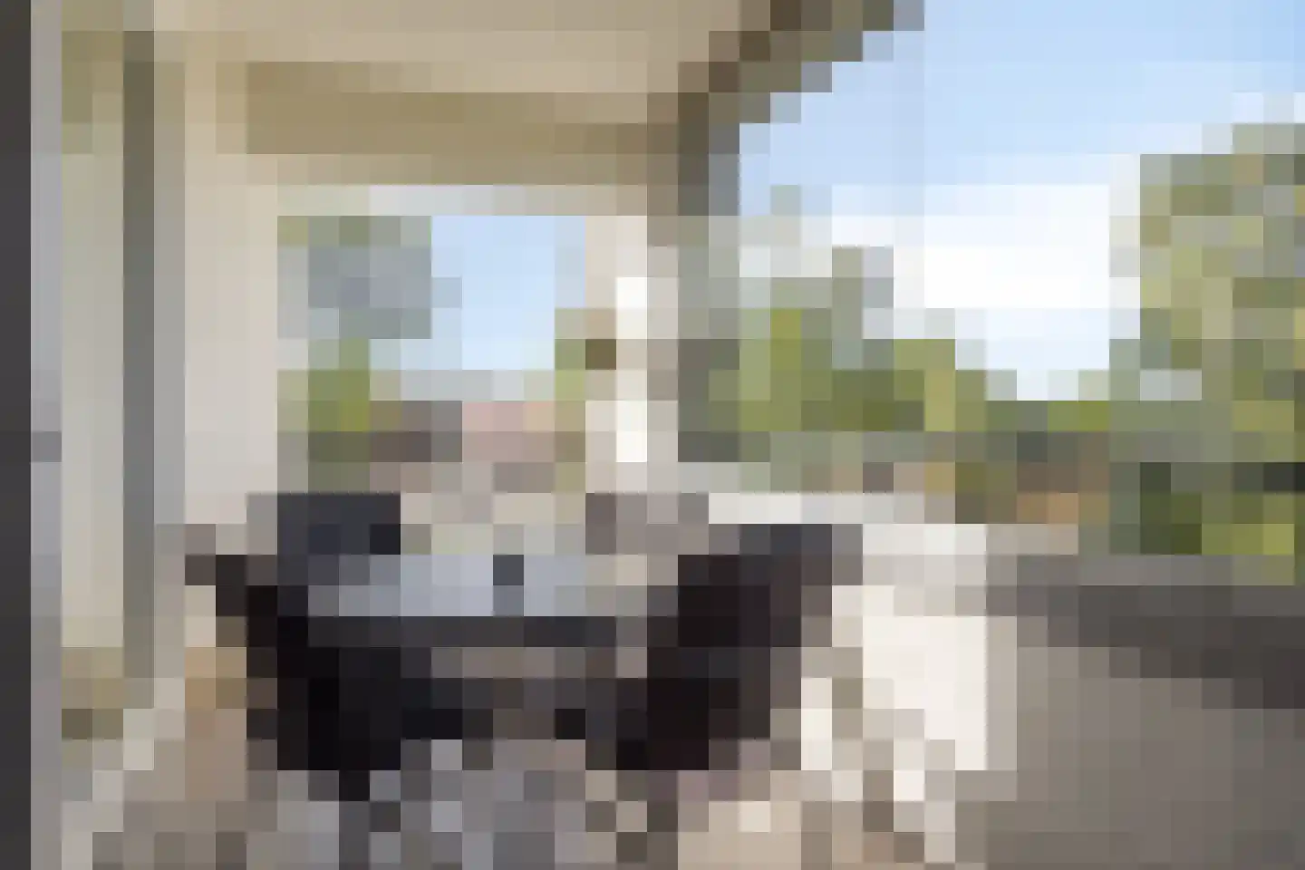 Egelantier 94 Etten-Leur thumbnail 22