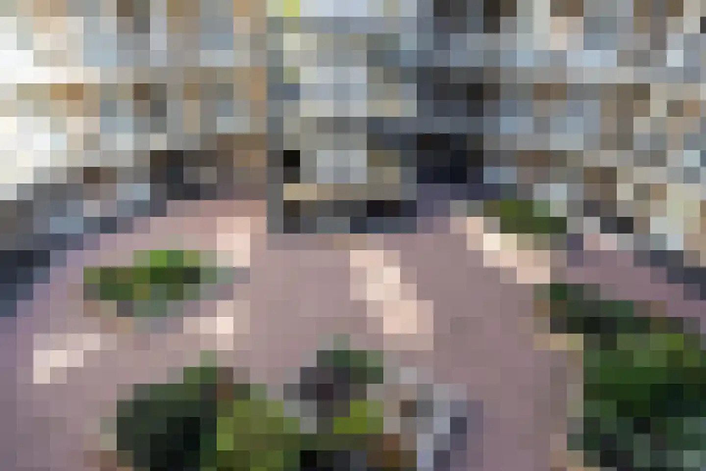 Egelantier 94 Etten-Leur thumbnail 35