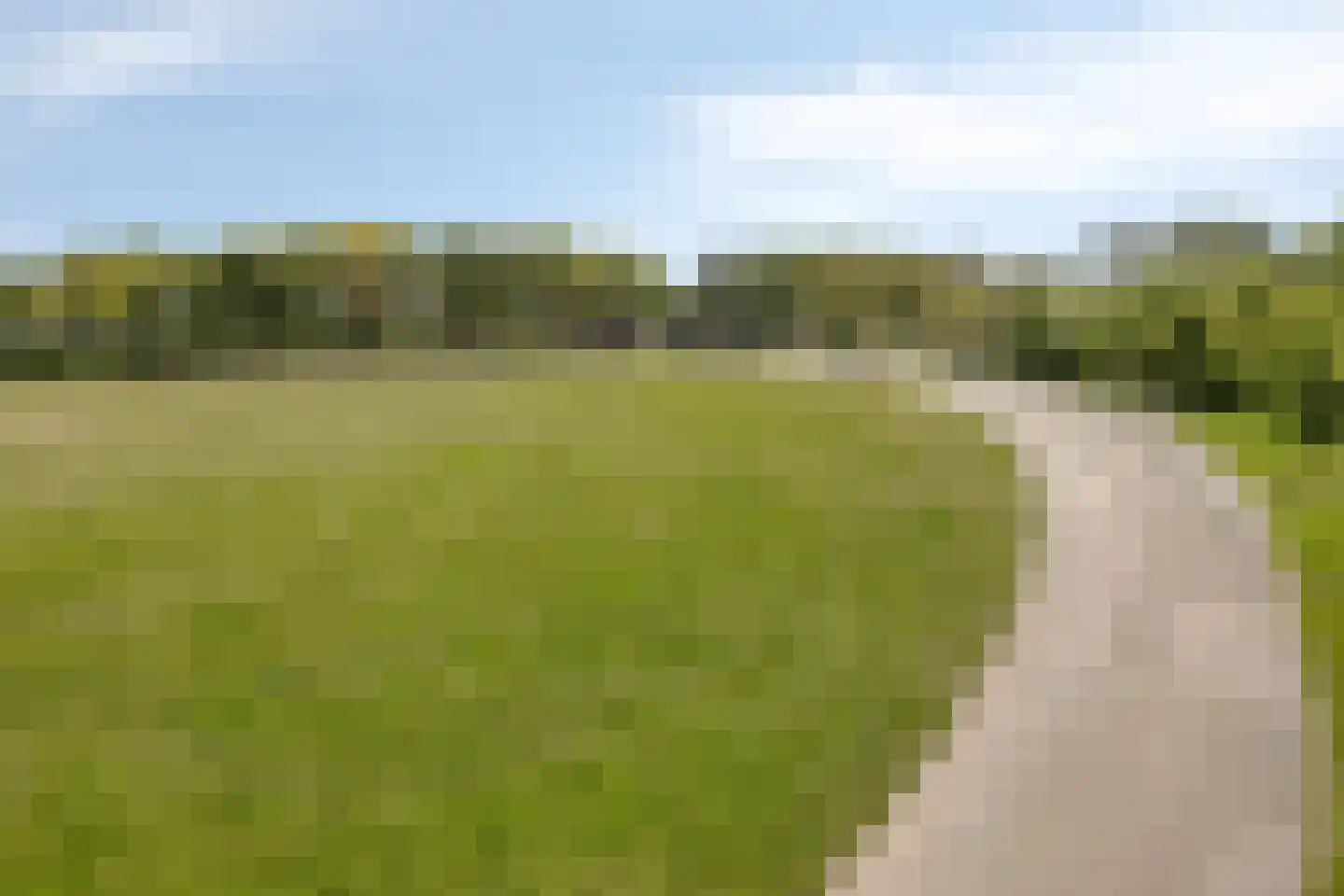 Egelantier 94 Etten-Leur thumbnail 36