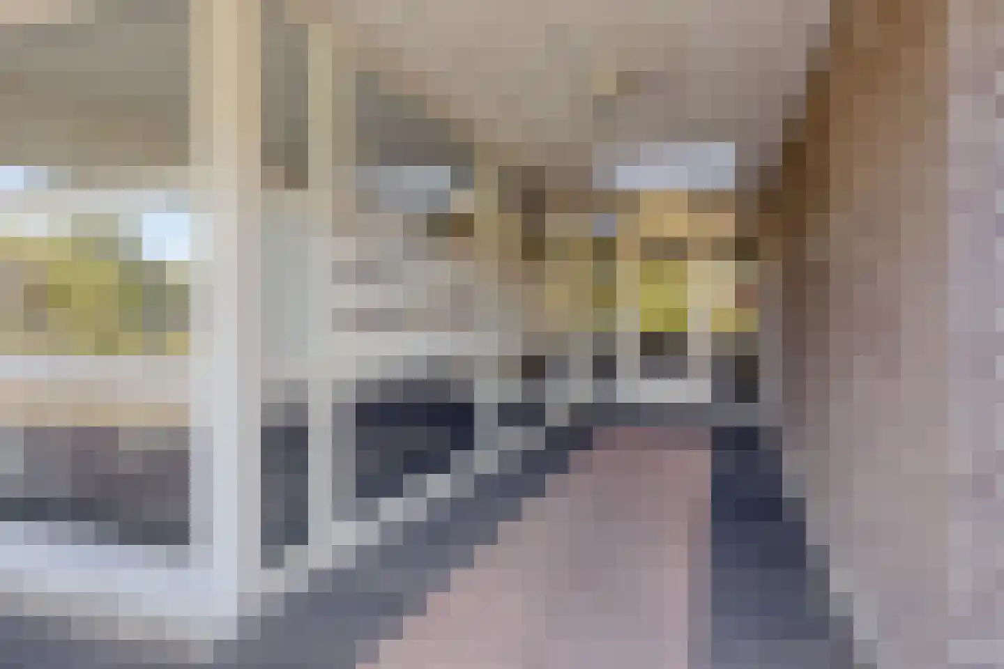 Egelantier 94 Etten-Leur thumbnail 7