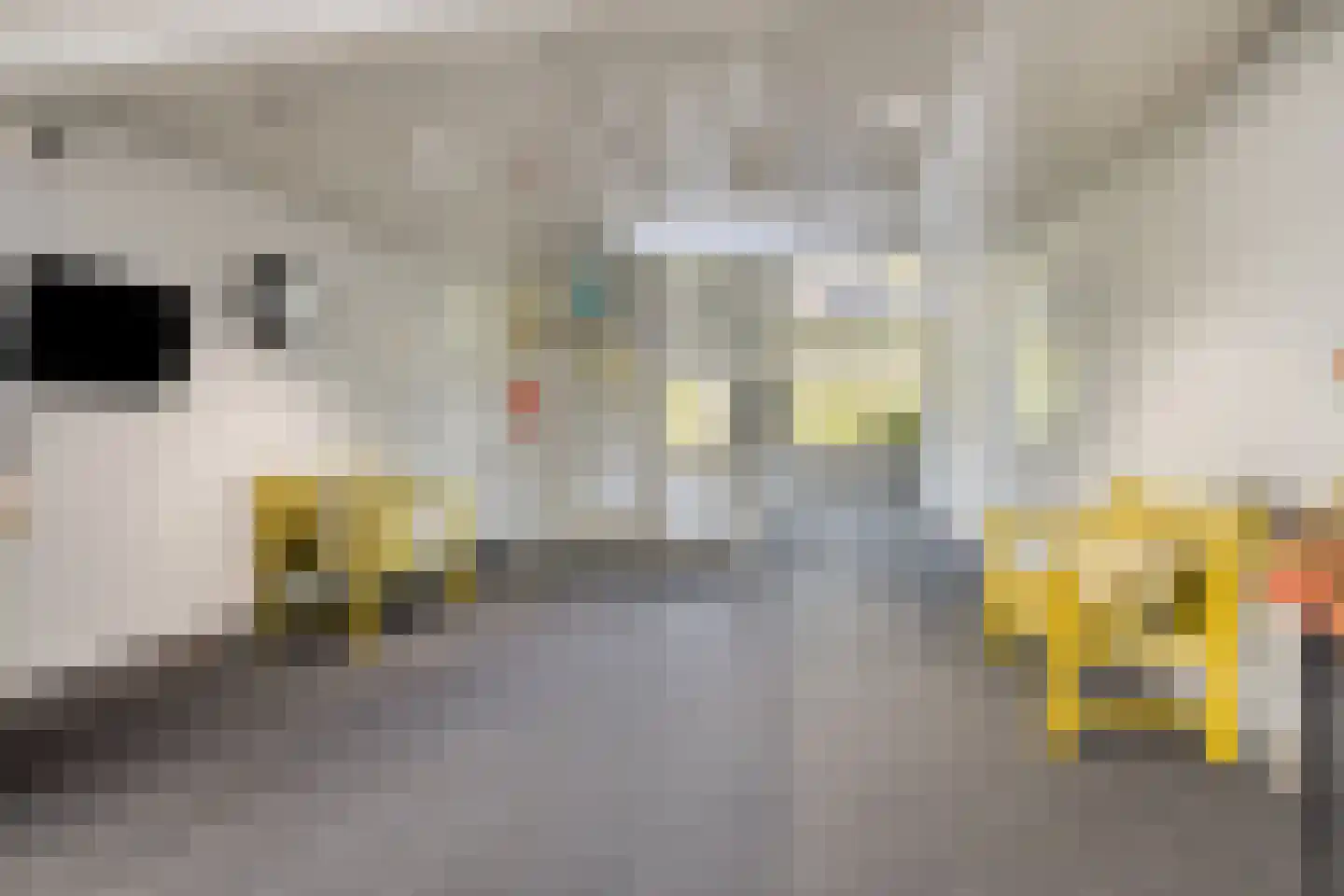 Egelantier 94 Etten-Leur thumbnail 8