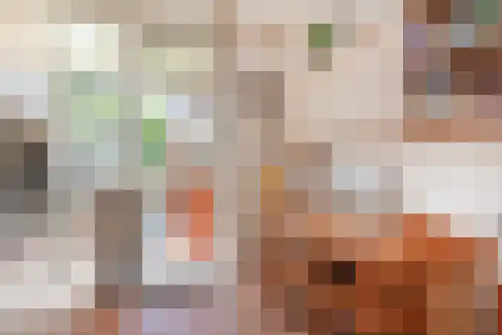 Egelantierlaan 15 Gouda thumbnail 14