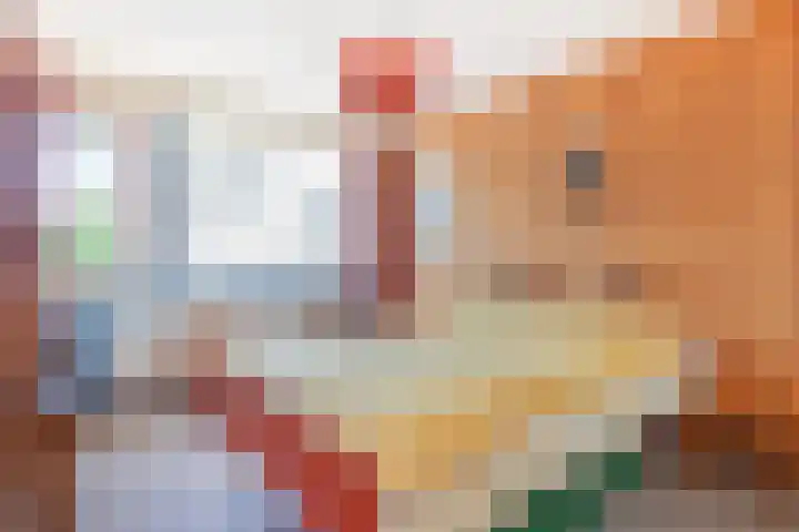 Egelantierlaan 15 Gouda thumbnail 17