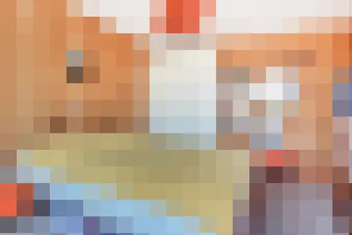 Egelantierlaan 15 Gouda thumbnail 18