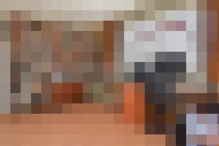 Egelantierlaan 15 Gouda thumbnail 22