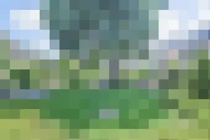 Egelantierlaan 15 Gouda thumbnail 36