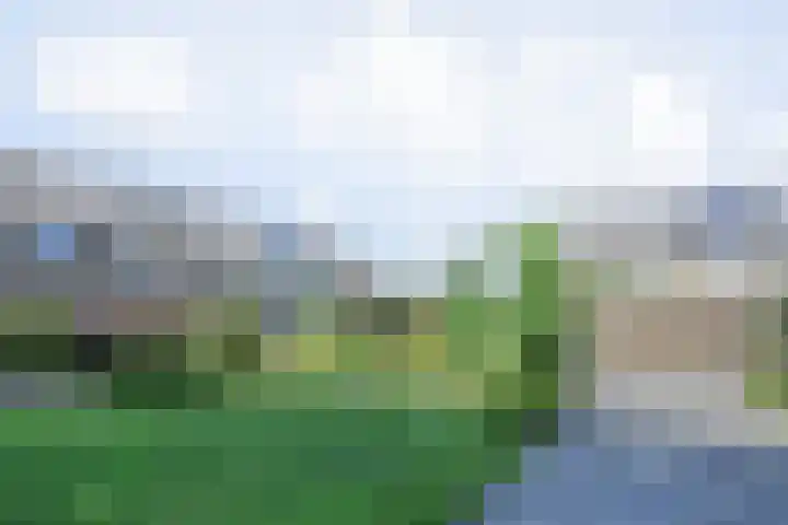 Egelantierlaan 15 Gouda thumbnail 37