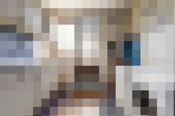 Egelantierlaan 19 Gouda thumbnail 12