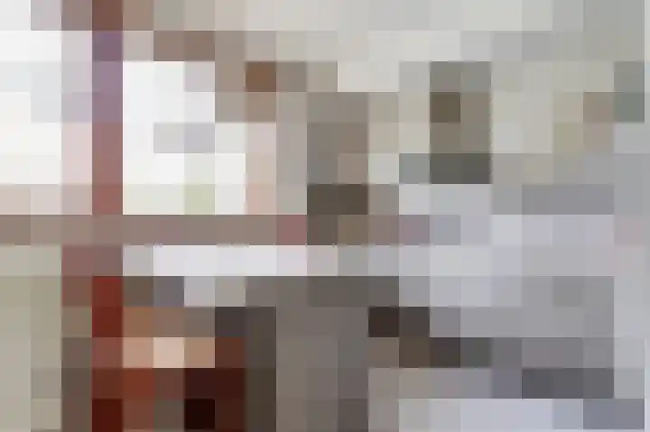 Egelantierlaan 19 Gouda thumbnail 13