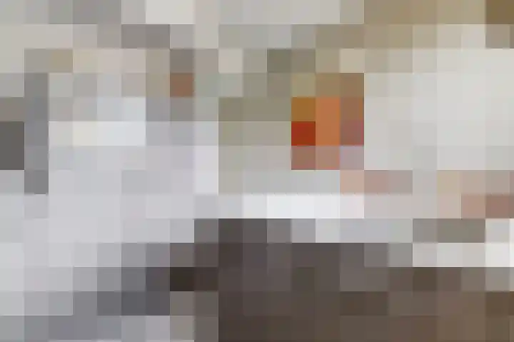 Egelantierlaan 19 Gouda thumbnail 14
