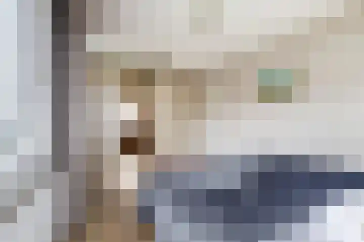 Egelantierlaan 19 Gouda thumbnail 20