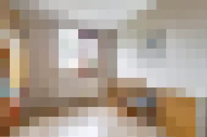 Egelantierlaan 19 Gouda thumbnail 25