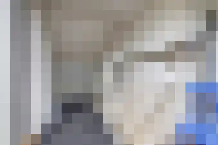 Egelantierlaan 19 Gouda thumbnail 35
