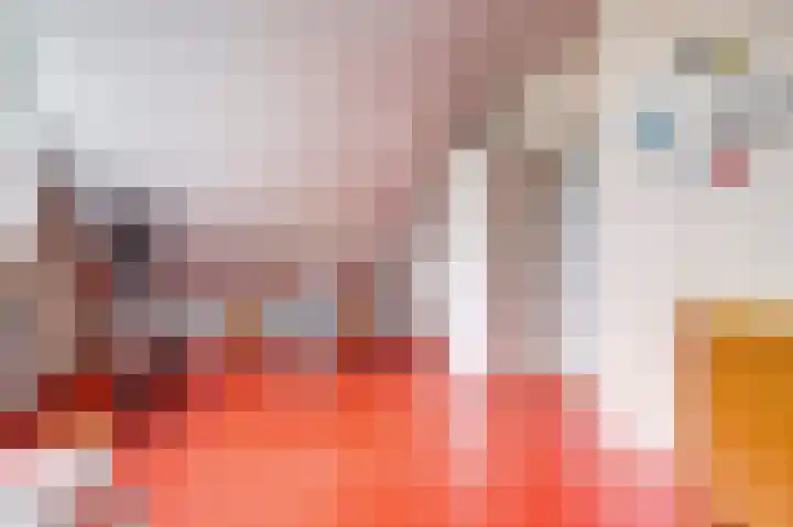 Egelantierlaan 19 Gouda thumbnail 37